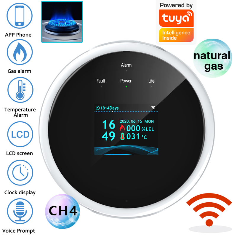 Home Security Items - Capteur d'alarme de gaz WiFi 2.4G,