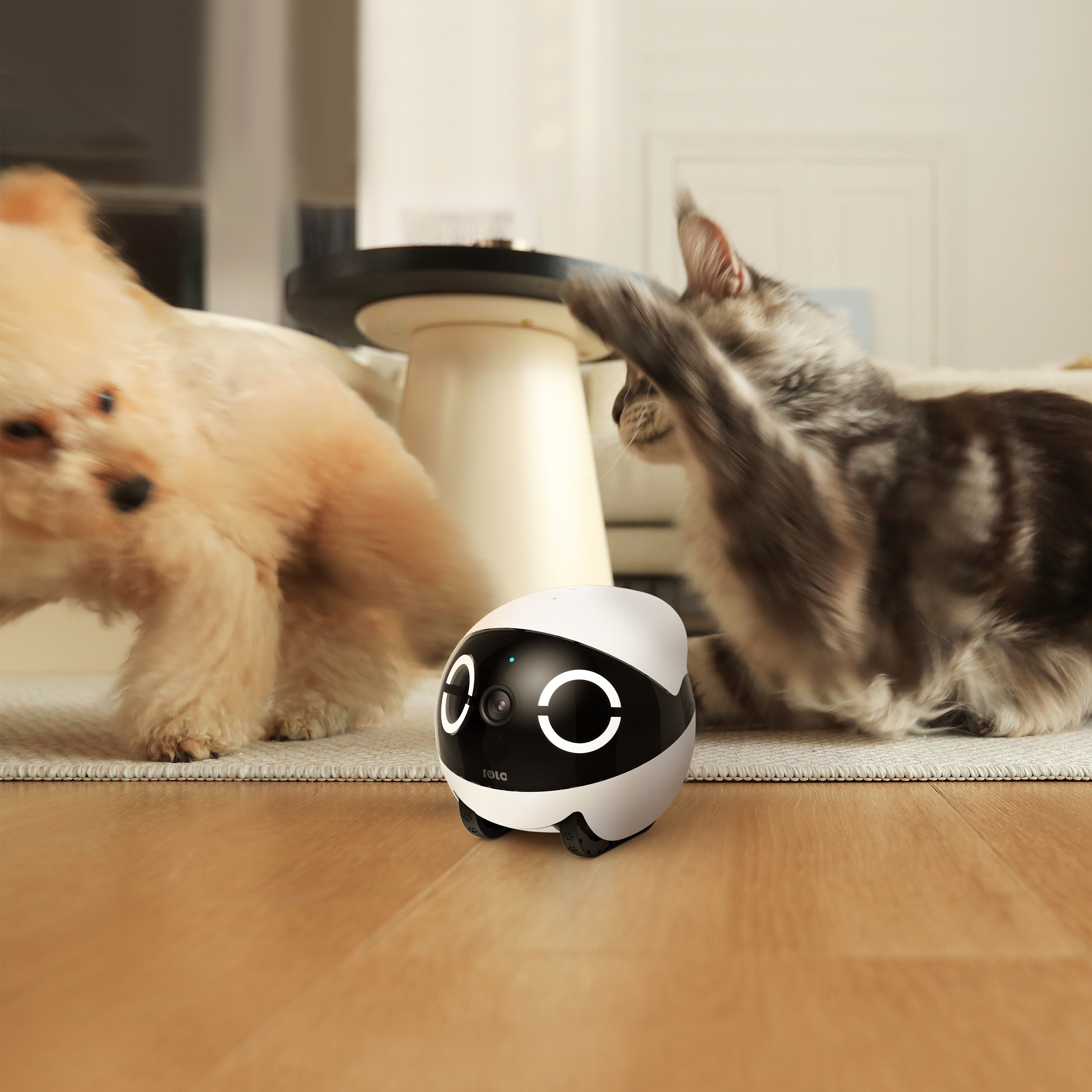 ROLA Mini Robot de surveillanc - Home Security Camera avis et prix