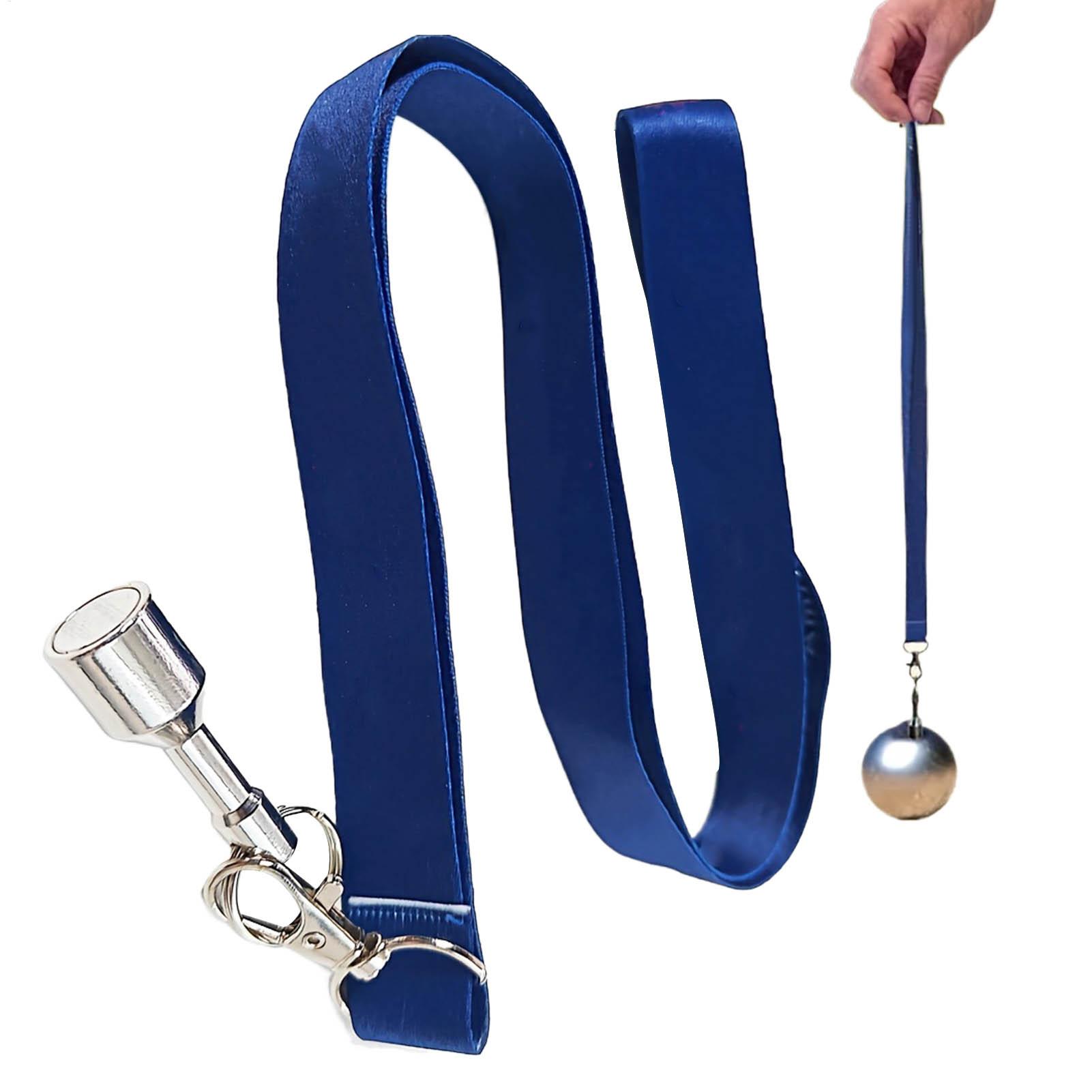 Ensemble de ramasseurs de boul - Home Security Training avis et prix