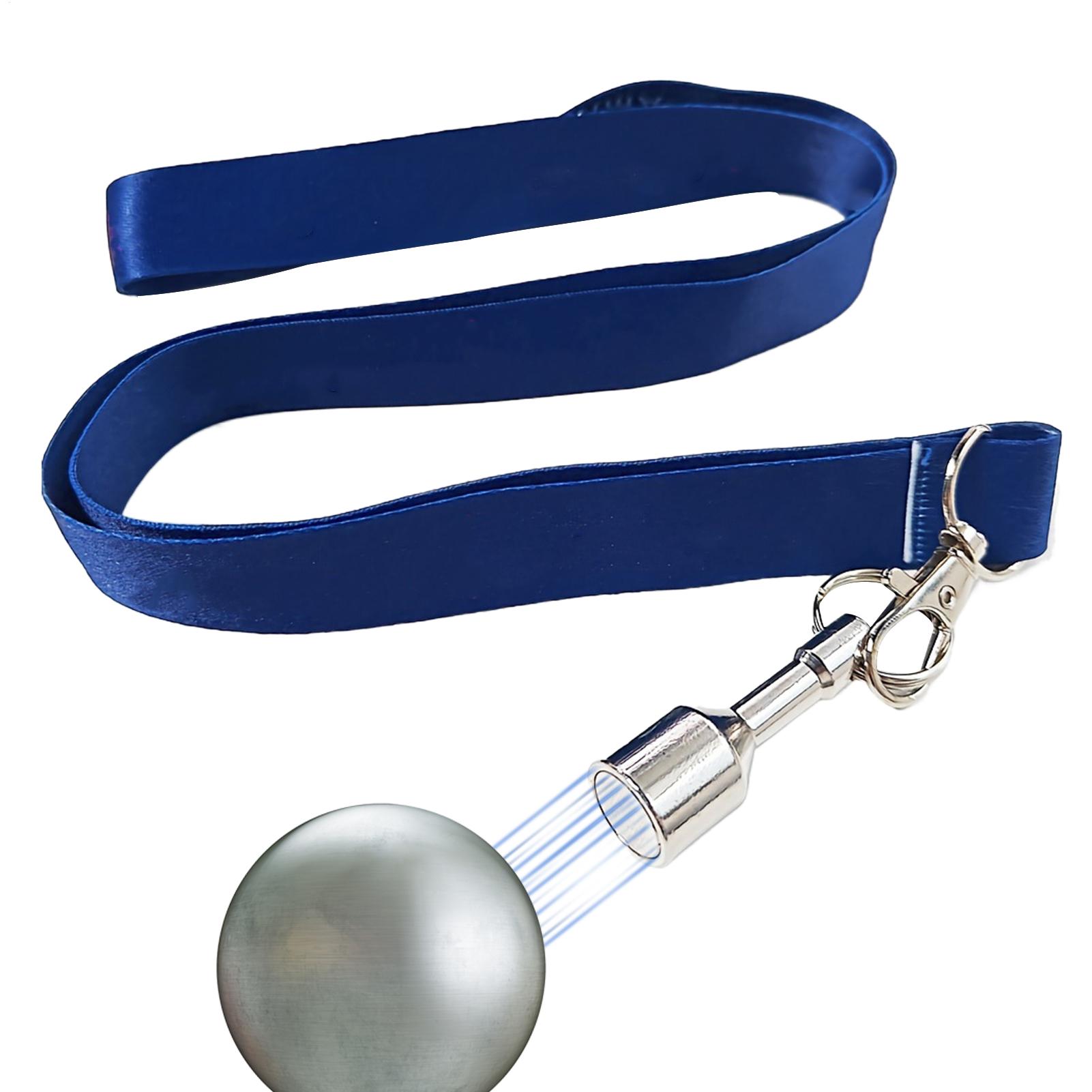 Ensemble de ramasseurs de boul - Home Security Training avis et prix
