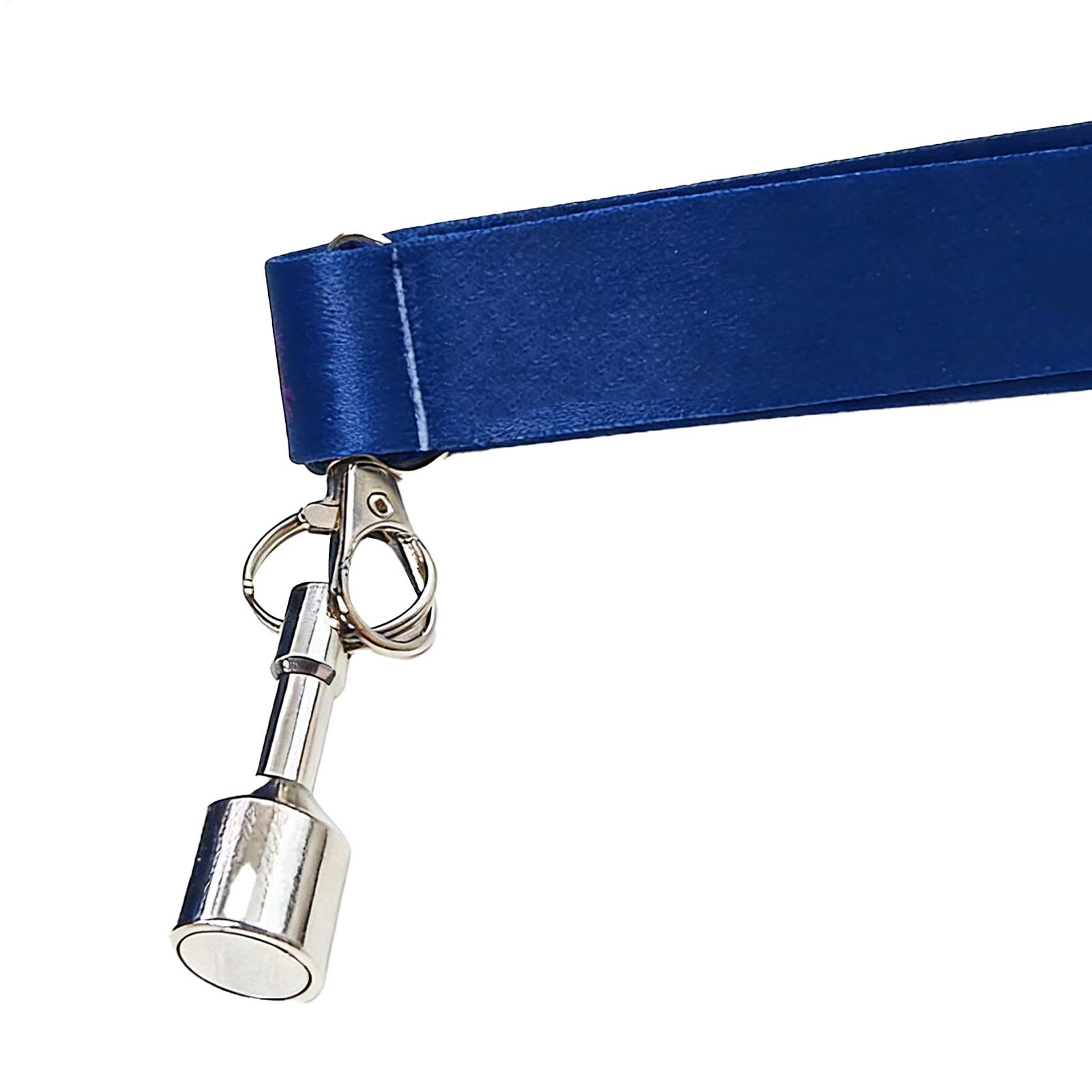 Ensemble de ramasseurs de boul - Home Security Training avis et prix