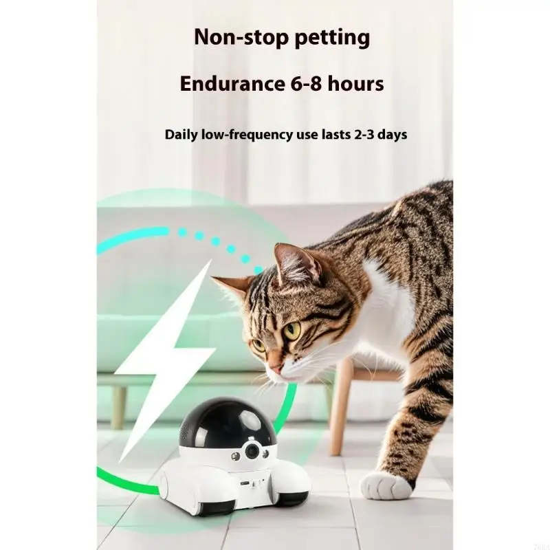 Caméra pour animaux compagnie  - Home Security Training avis et prix
